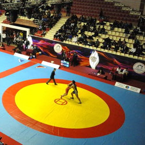 Güreş Minderi 12 m * 12 m