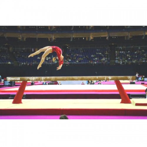 Jimnastik Denge Aleti FIG onaylı